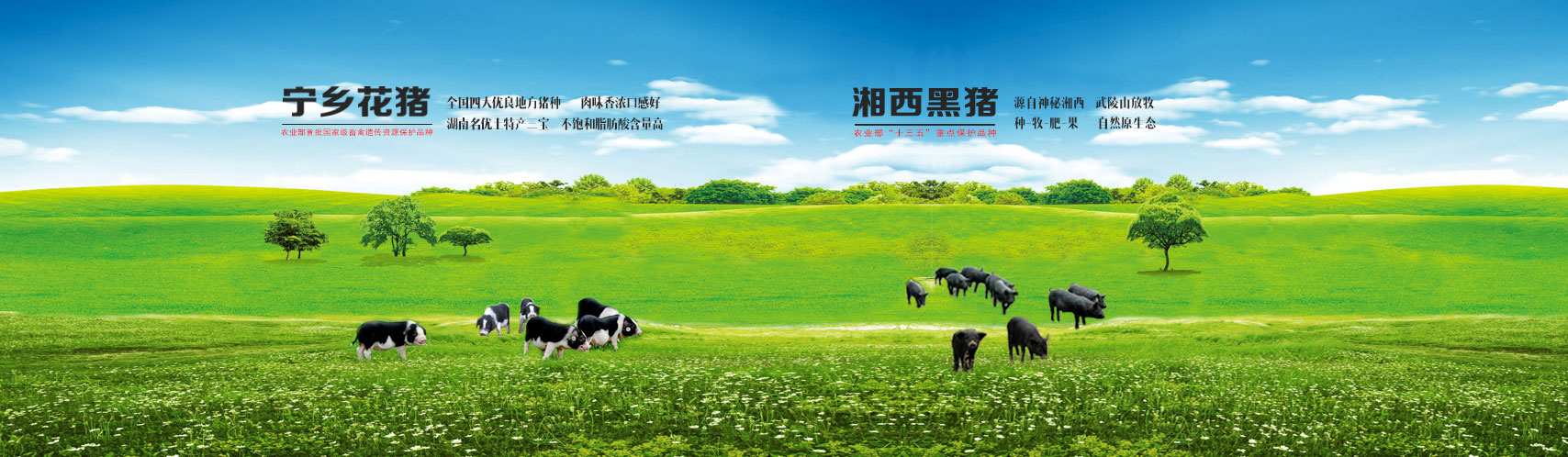 俄罗斯专享会294·VIP(中国区)官方网站