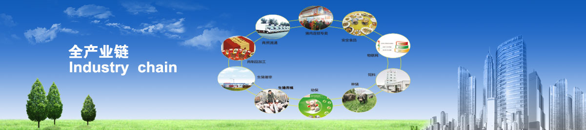 俄罗斯专享会294·VIP(中国区)官方网站